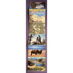 12 Souvenir Scenes Black Hill & Mount Rushmore 12 Pack of Postcards